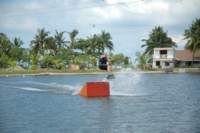 Photo Number 5