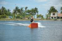Photo Number 8