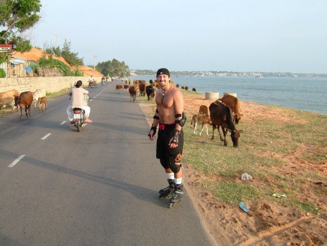 Photograph
