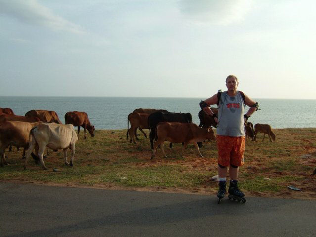 Photograph