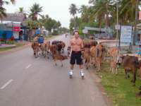 Photo Number 6