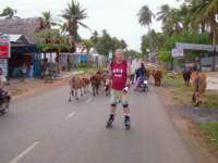 Photo Number 7