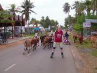 Photo Number 8