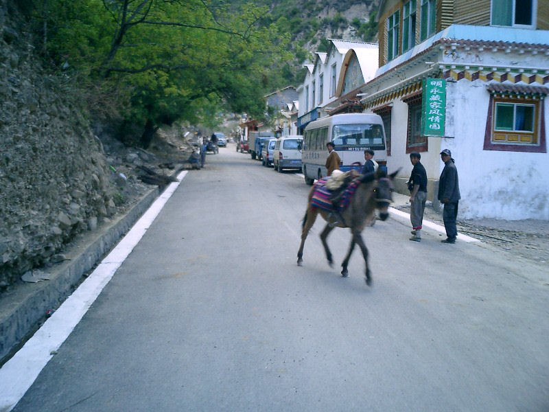 meil0008.jpg