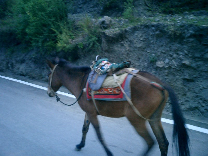 meil0026.jpg
