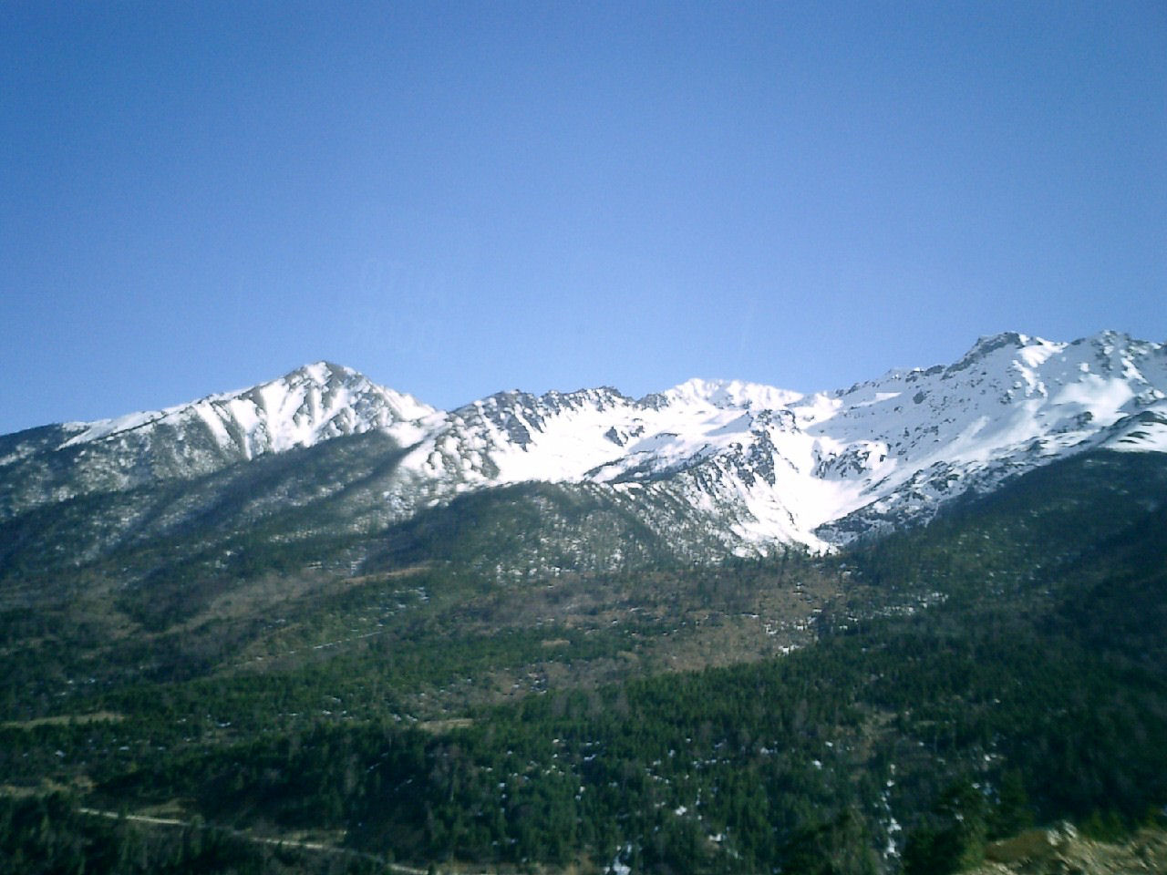 y4030001.jpg