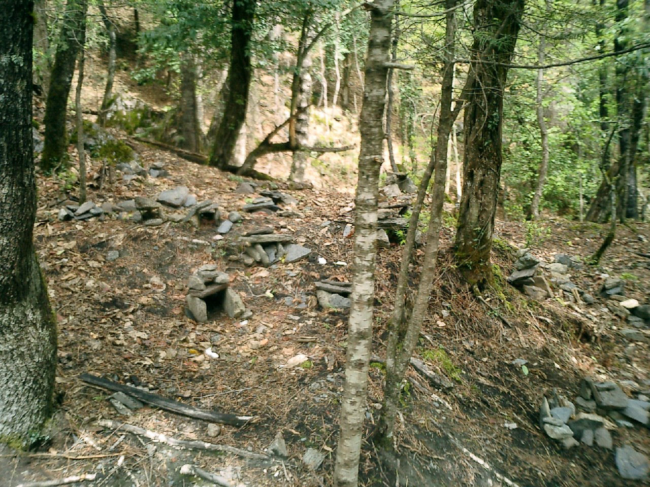 y4030007.jpg