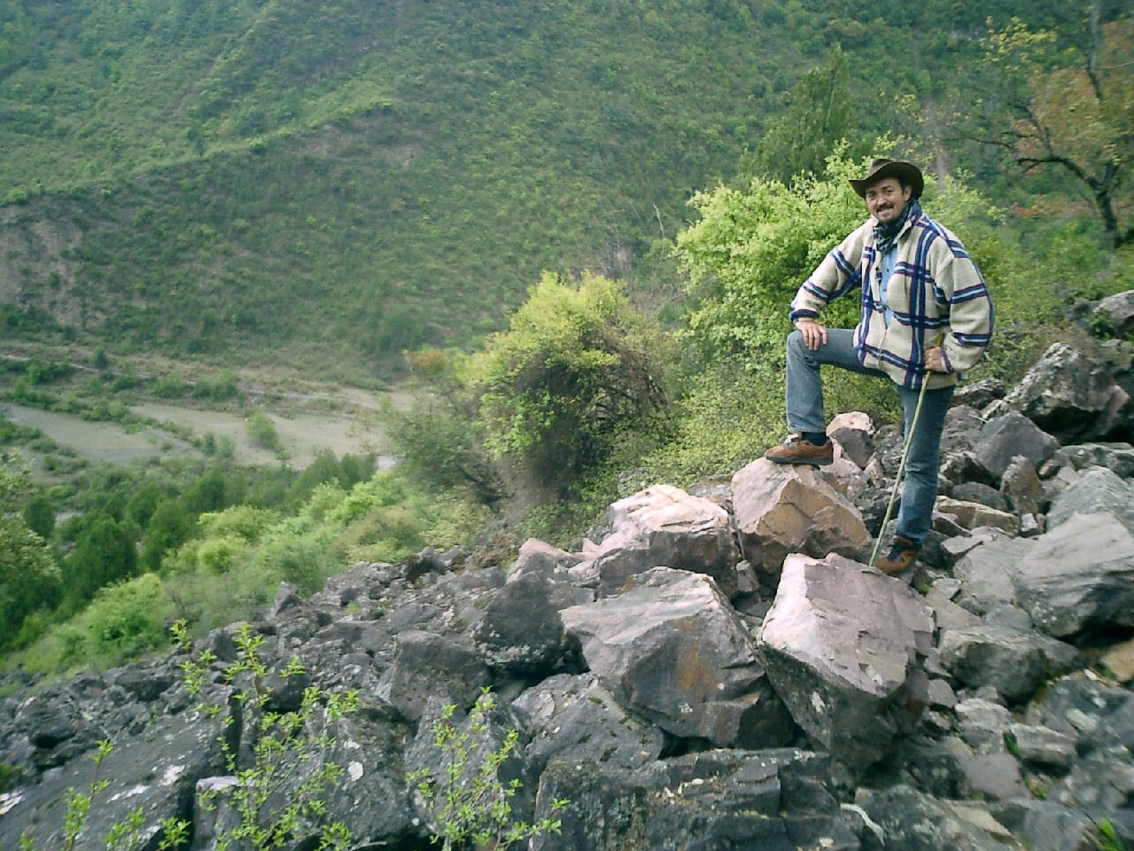y4030015.jpg