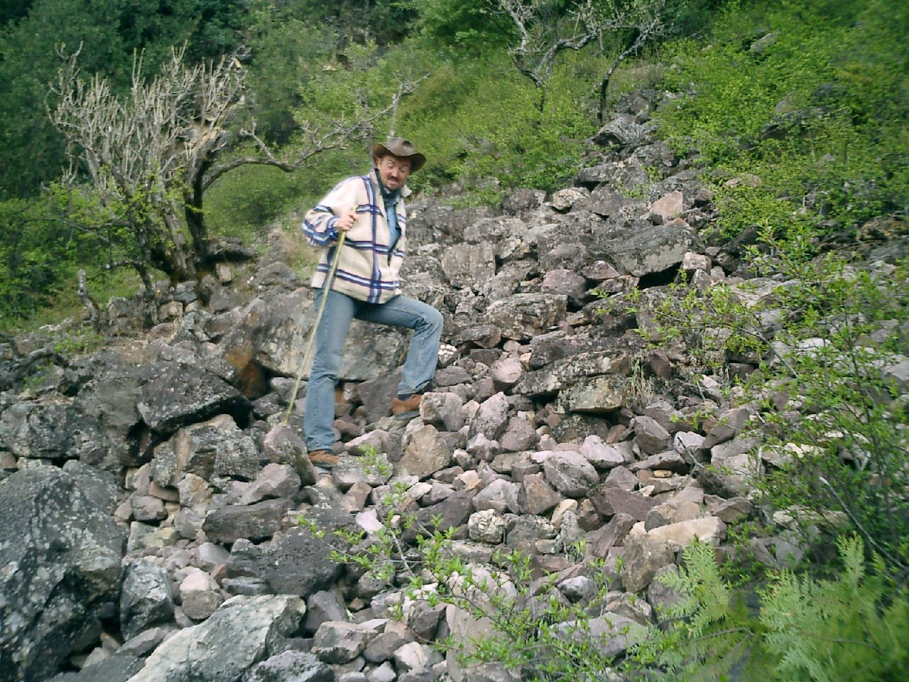 y4030016.jpg