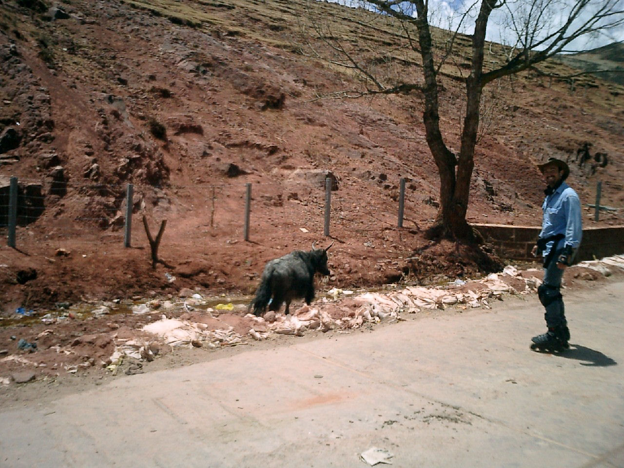 y4030041.jpg