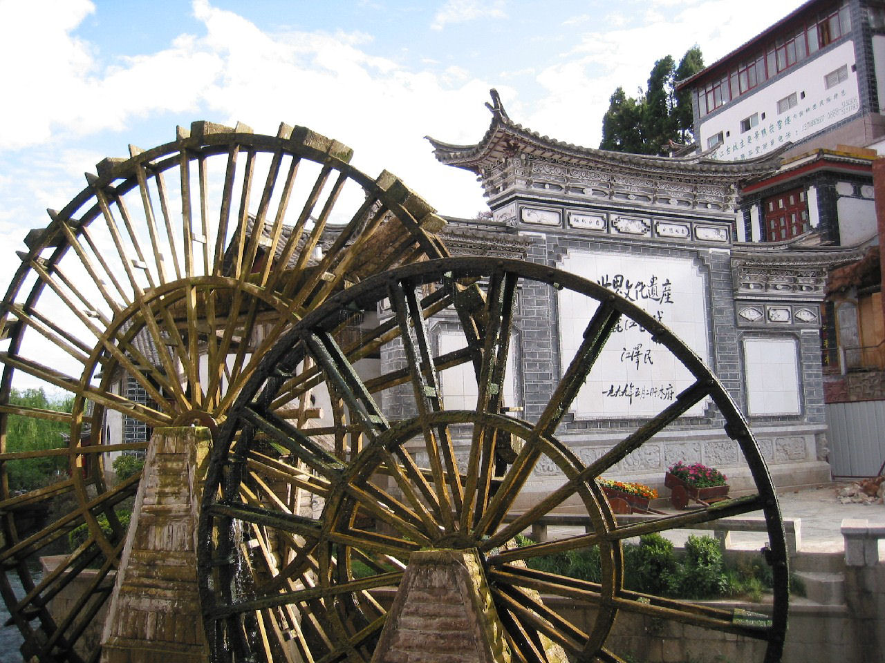 y4030048.jpg