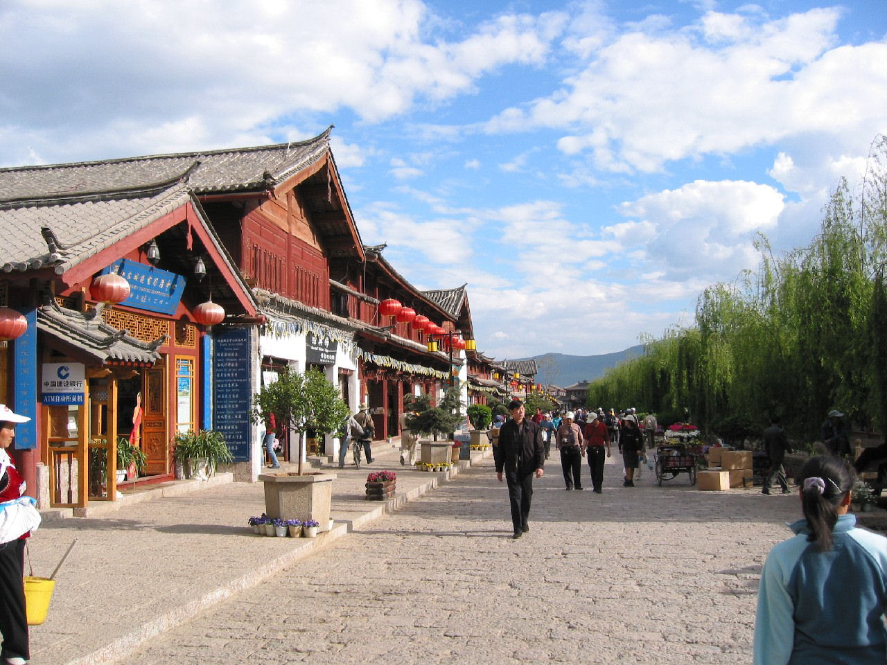 y4030049.jpg