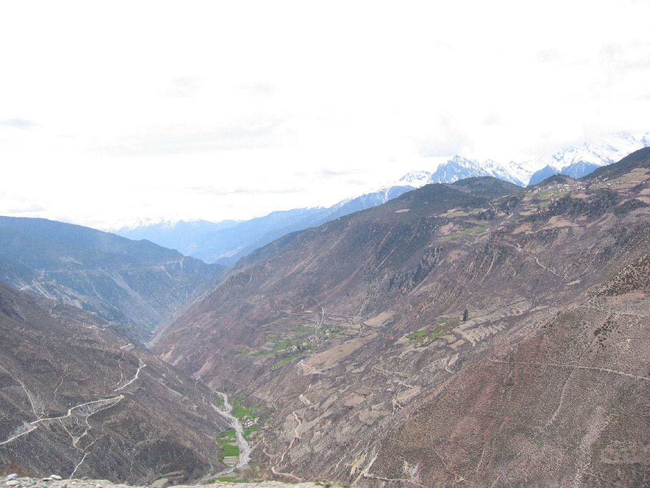 y4030056.jpg
