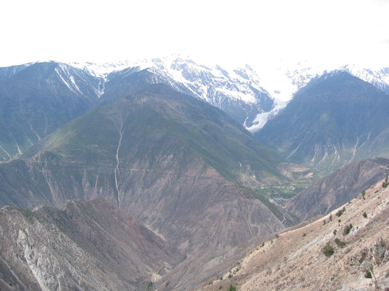 y4030057.jpg