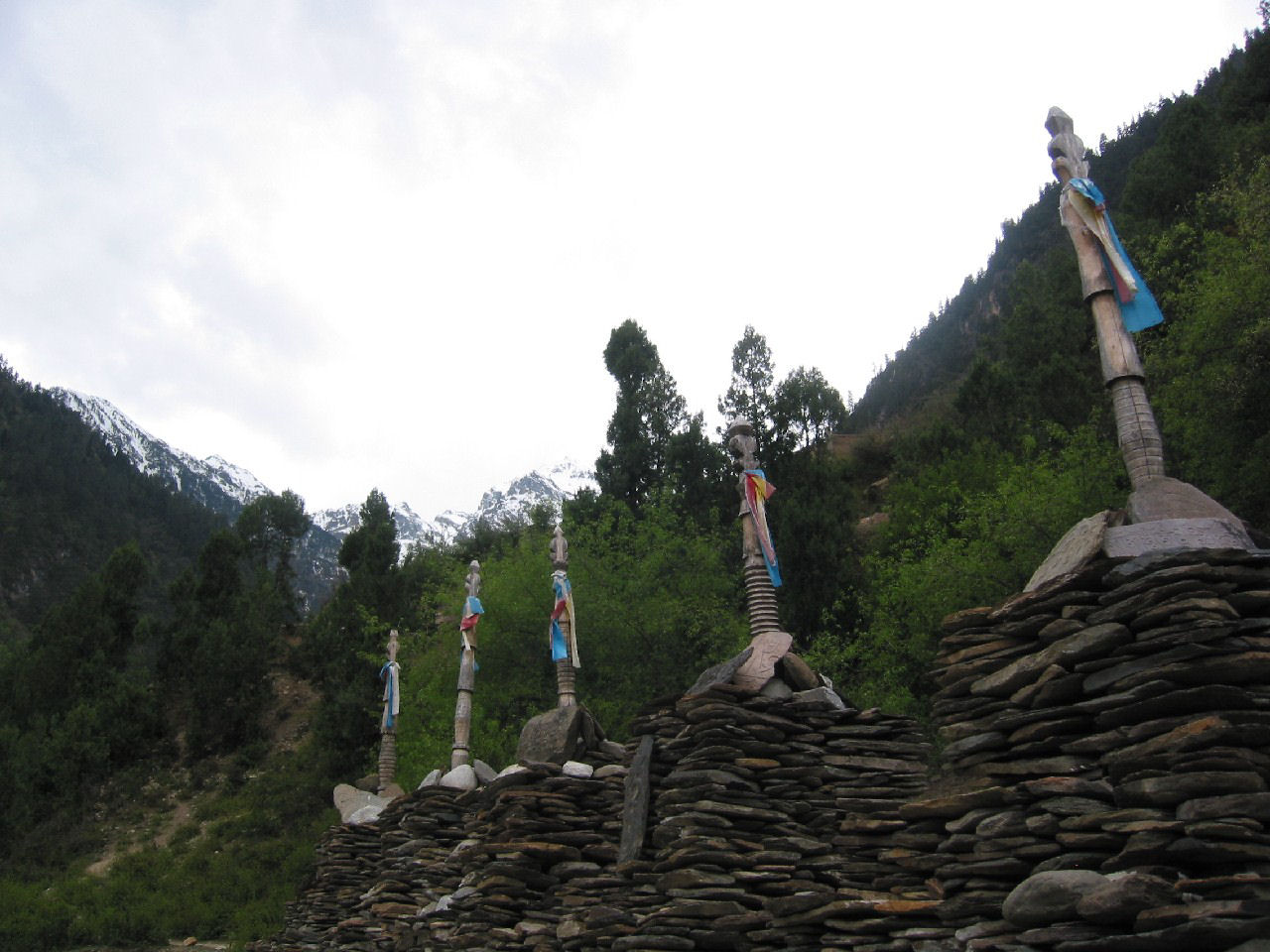 y4030070.jpg