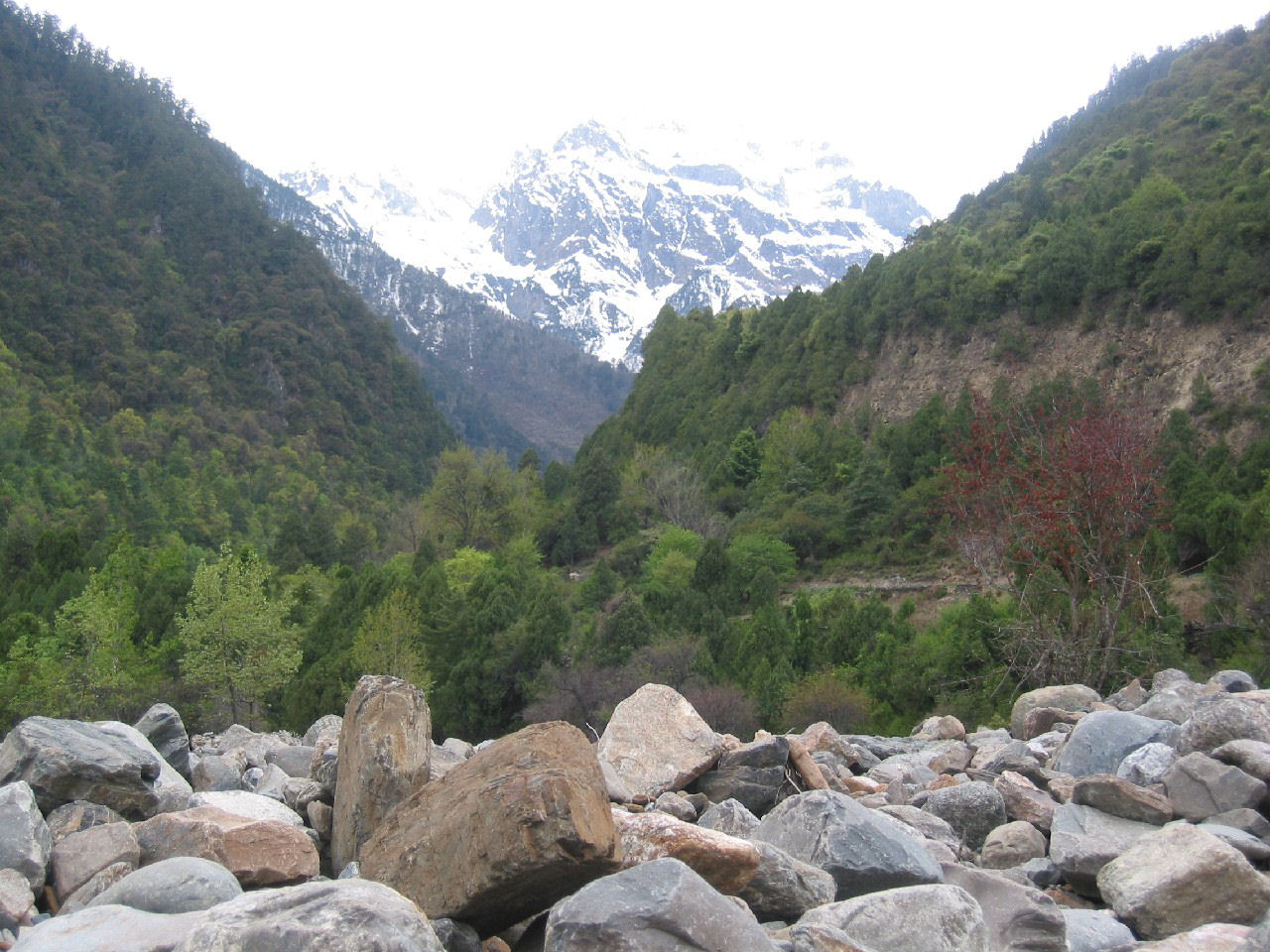 y4030071.jpg
