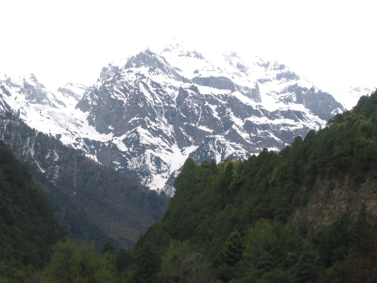 y4030072.jpg
