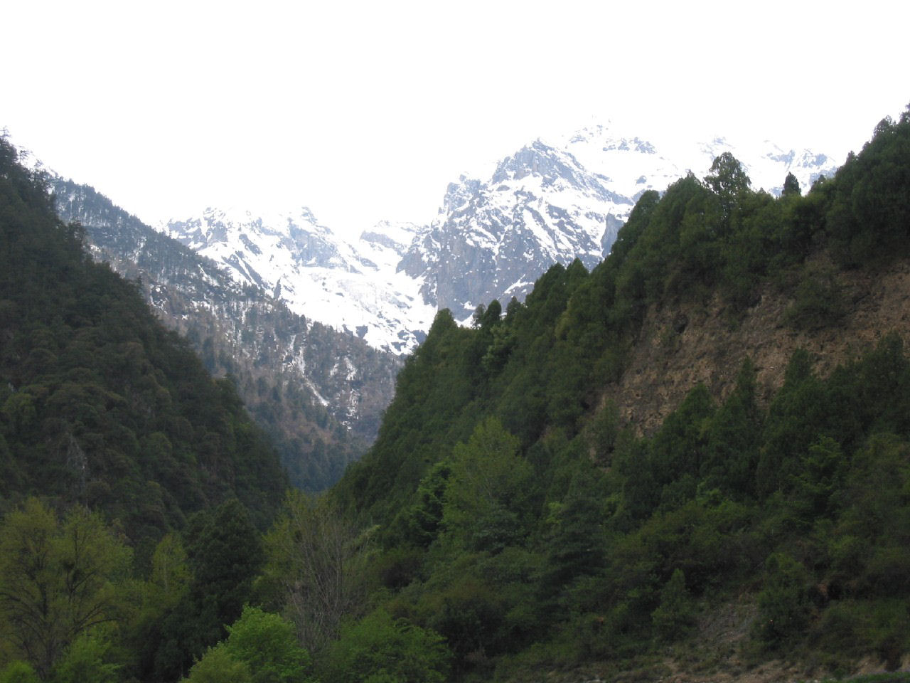 y4030073.jpg