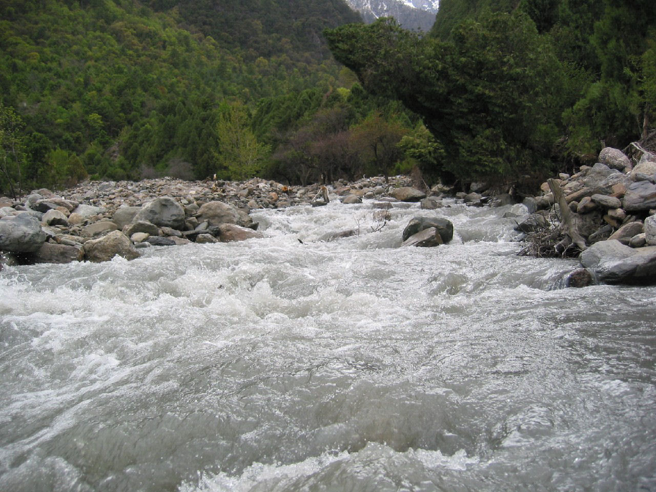 y4030074.jpg