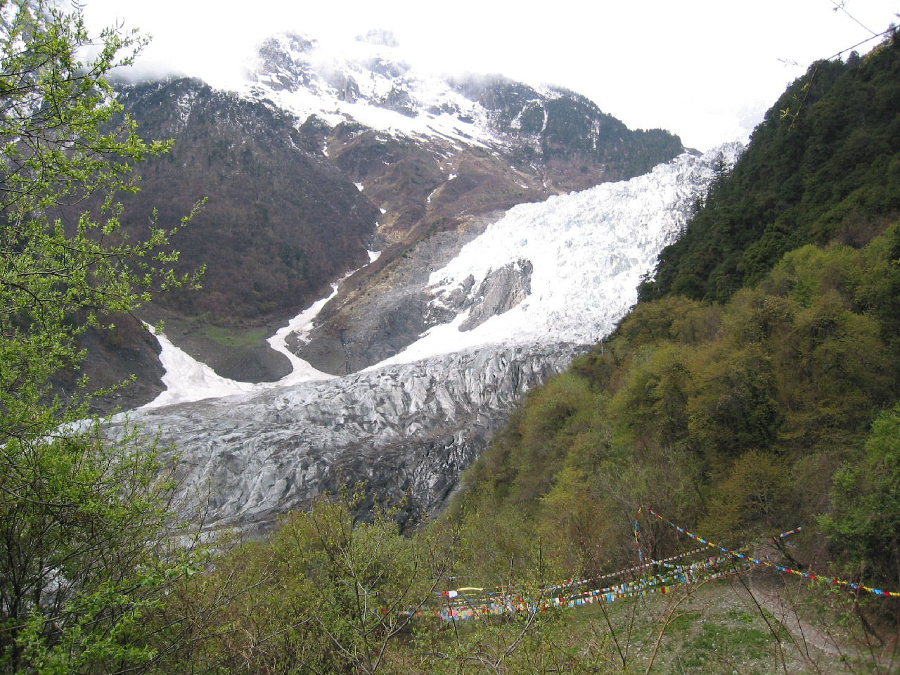 y4030075.jpg