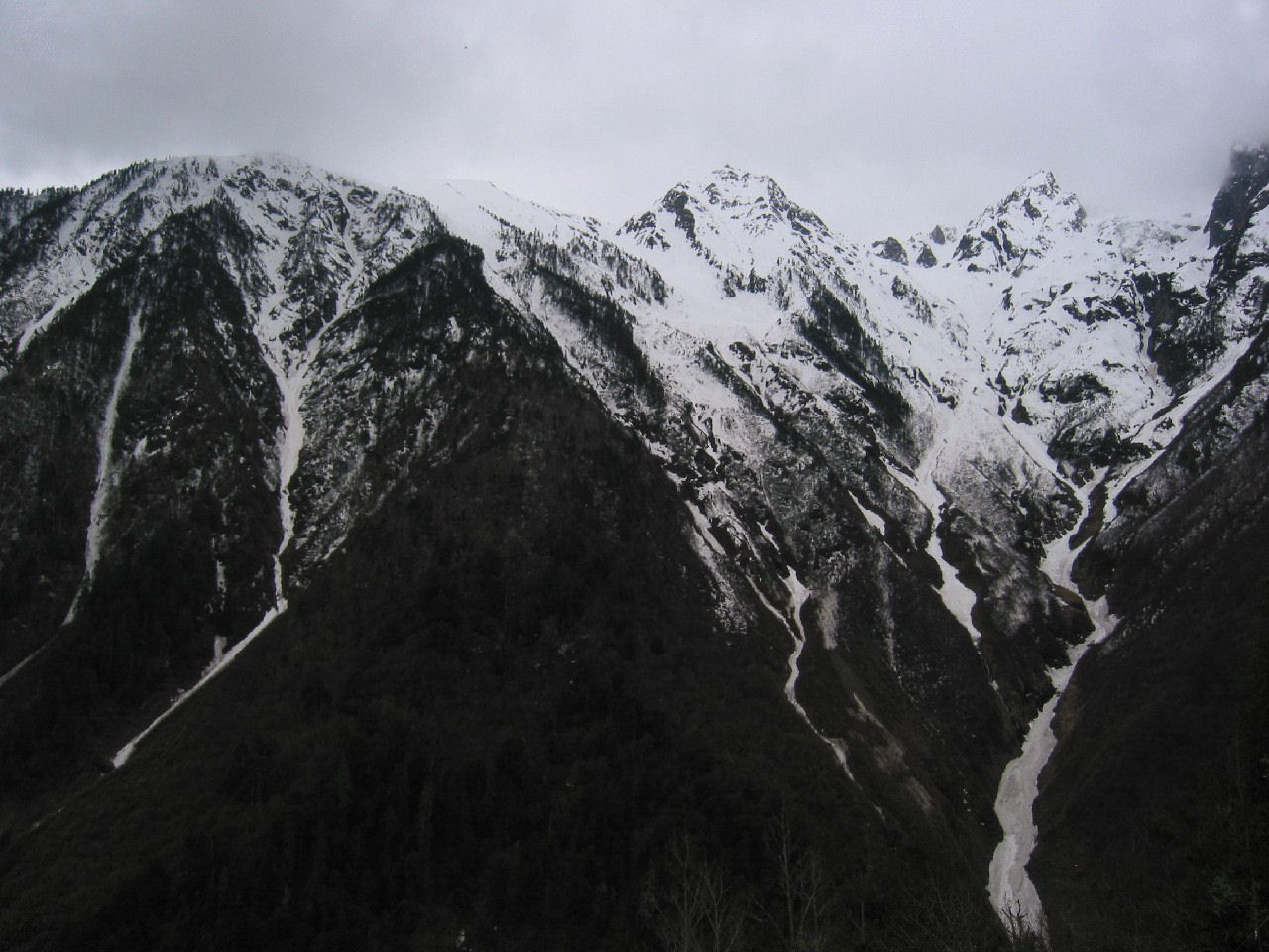 y4030084.jpg