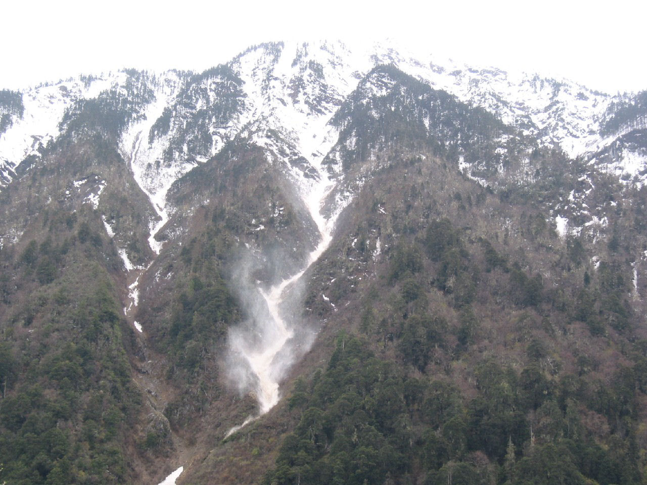 y4030092.jpg