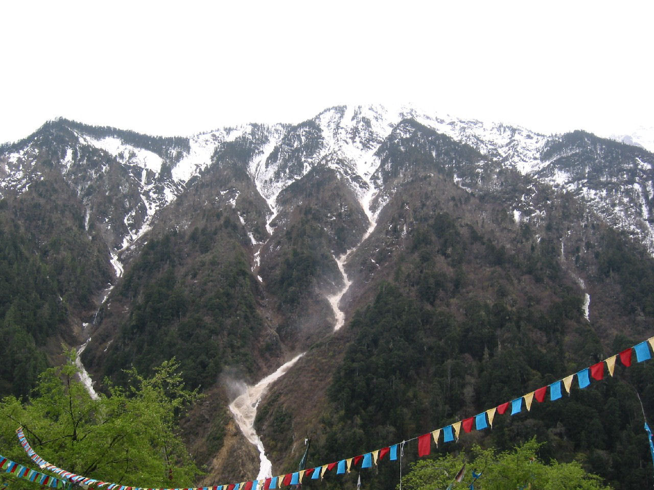 y4030093.jpg