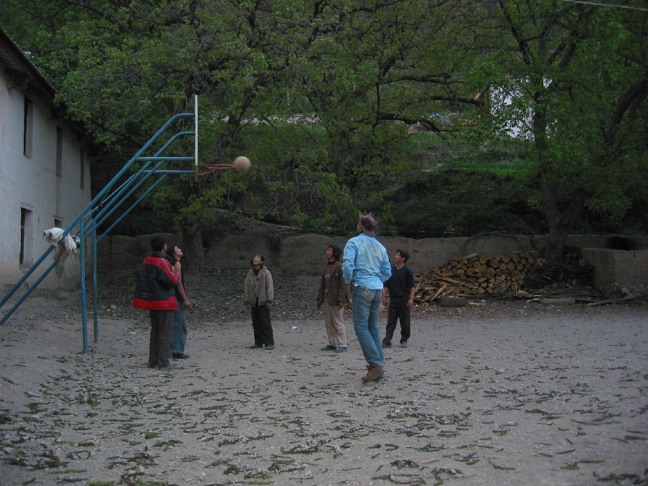 y4030120.jpg