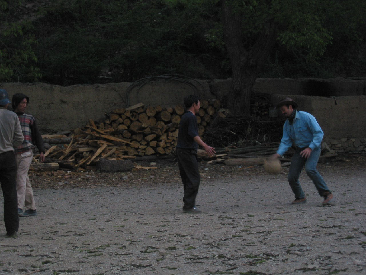 y4030121.jpg