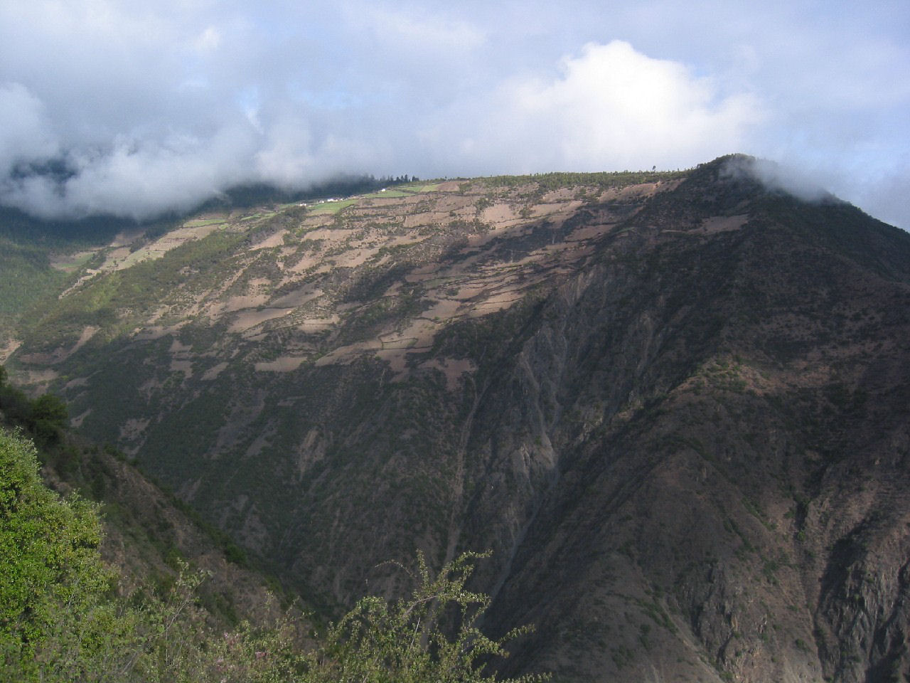 y4030122.jpg