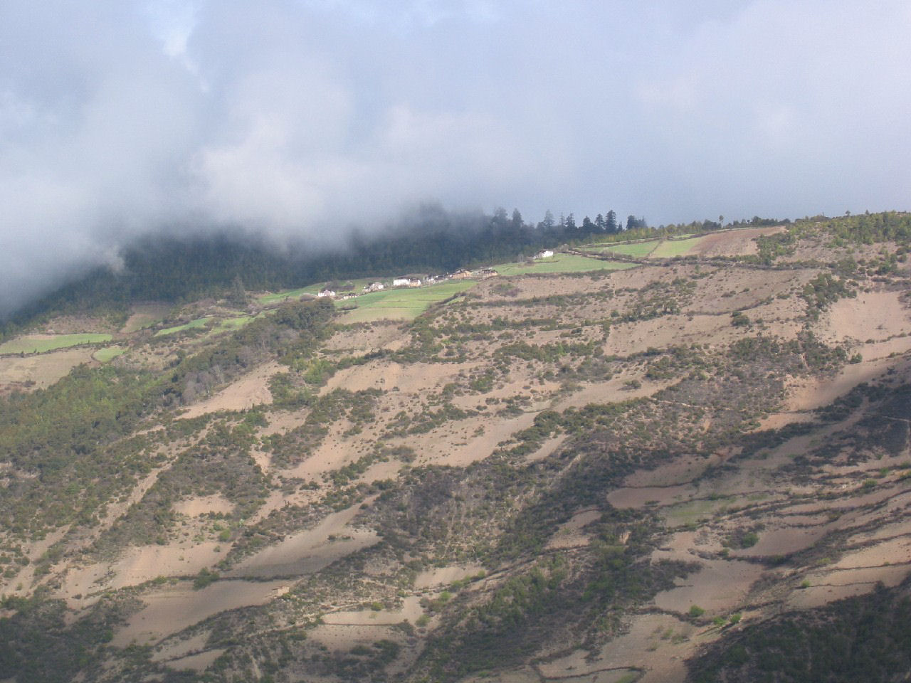 y4030123.jpg