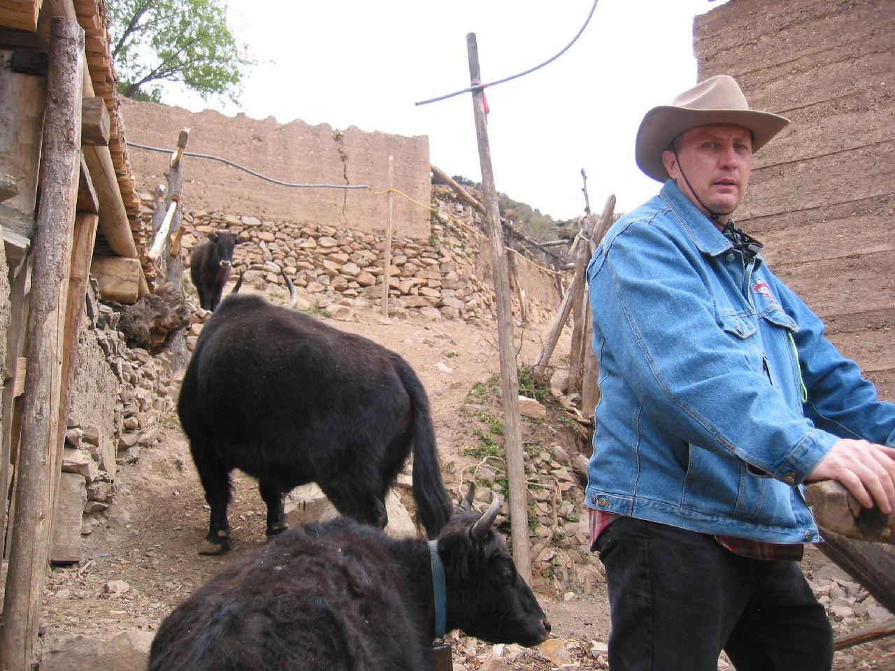 y4030124.jpg