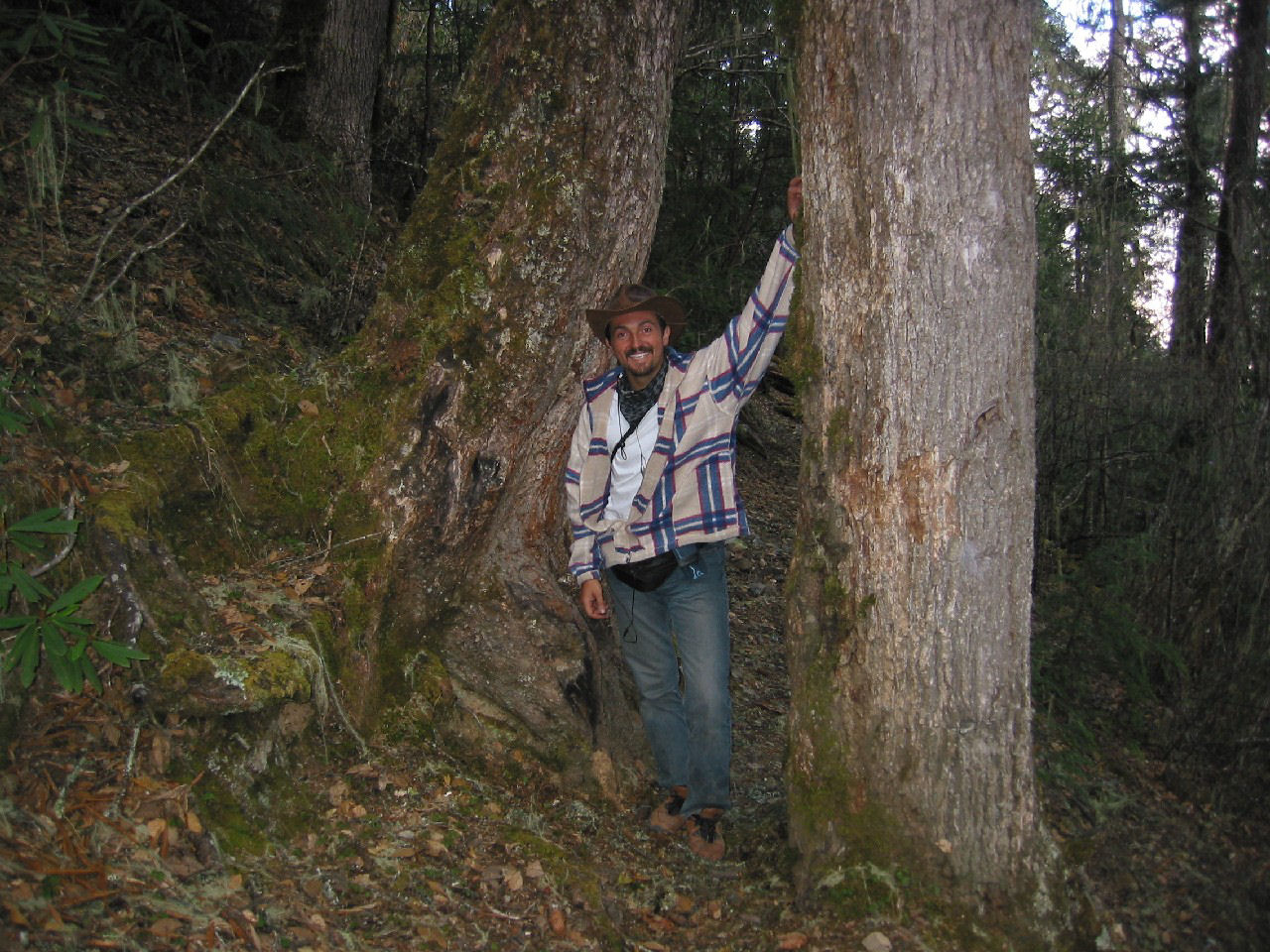 y4030129.jpg