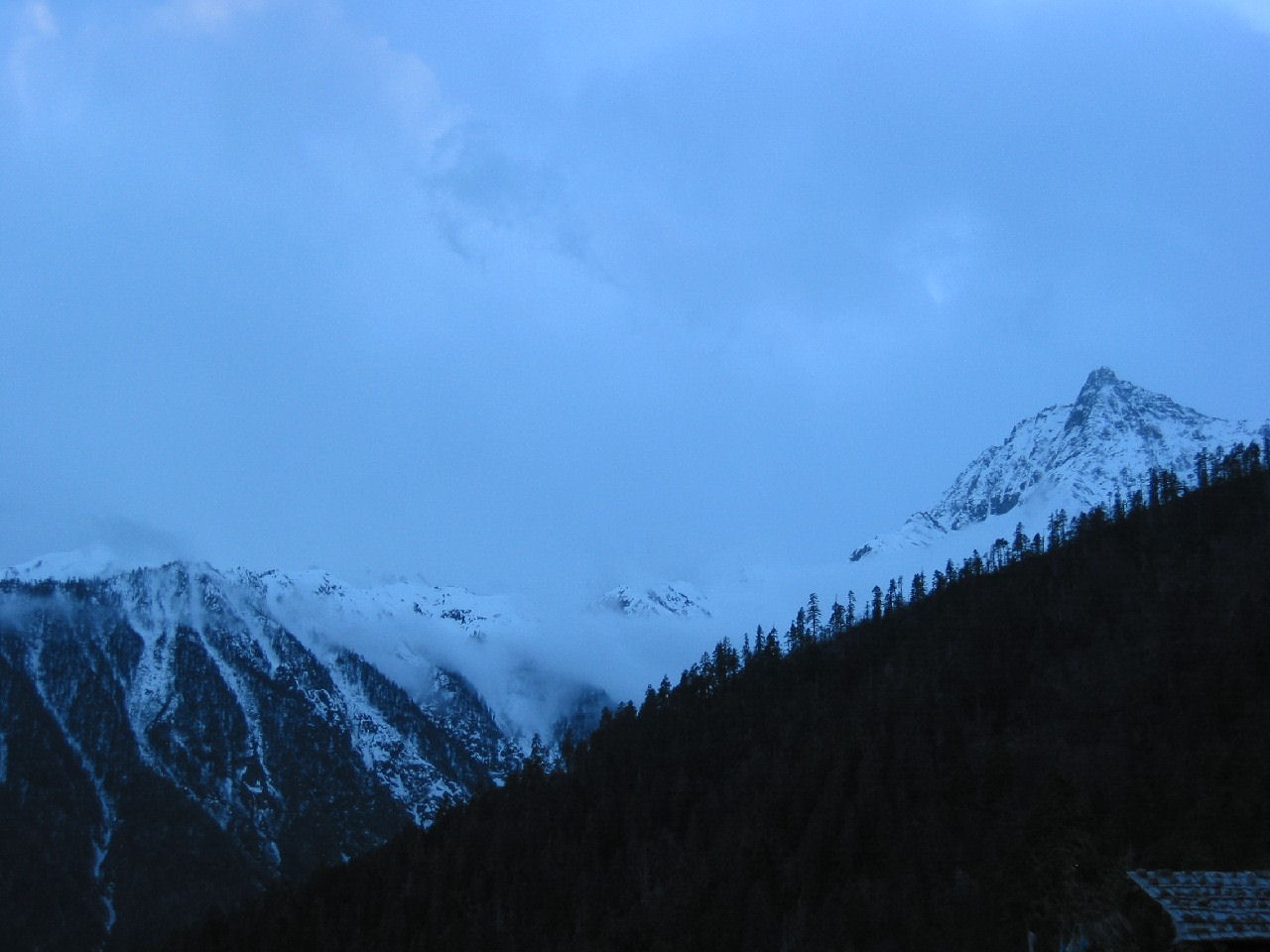 y4030130.jpg