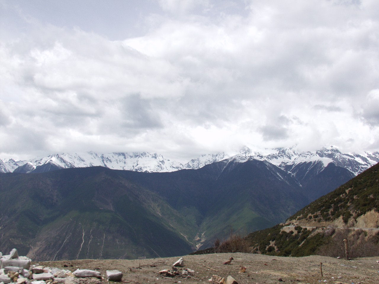y4030160.jpg