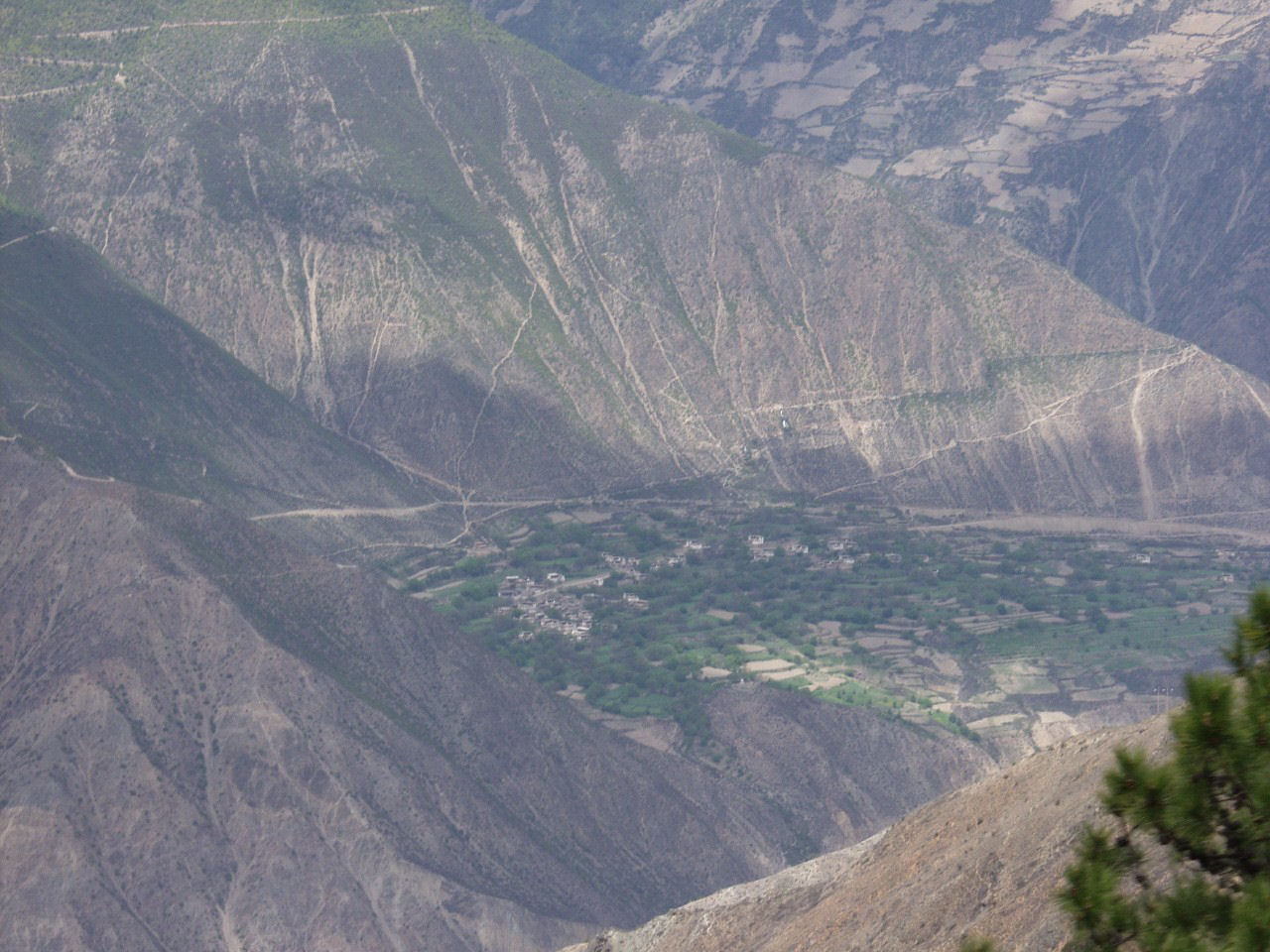 y4030162.jpg