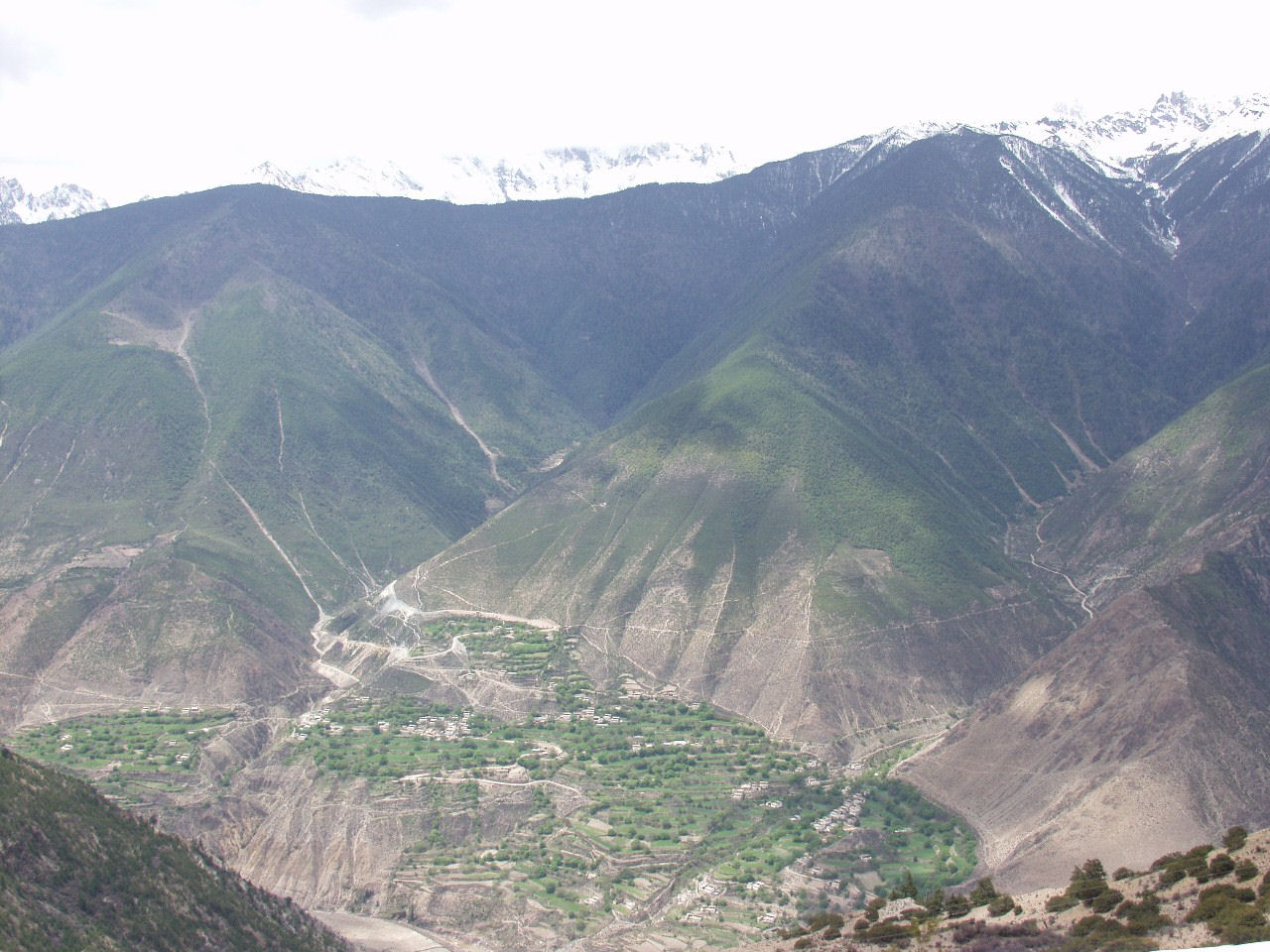 y4030164.jpg