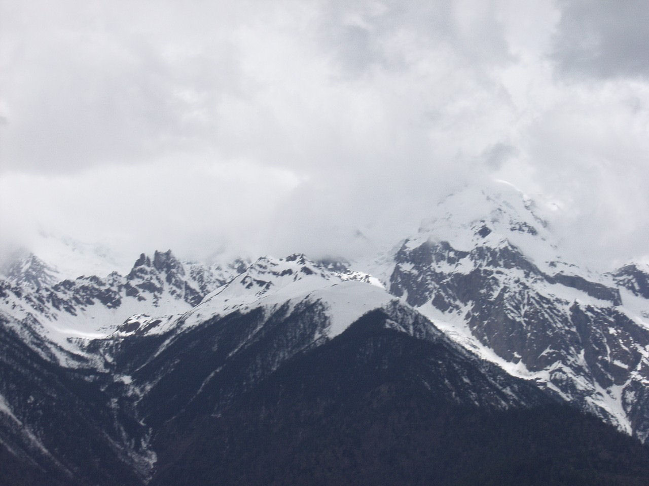 y4030165.jpg