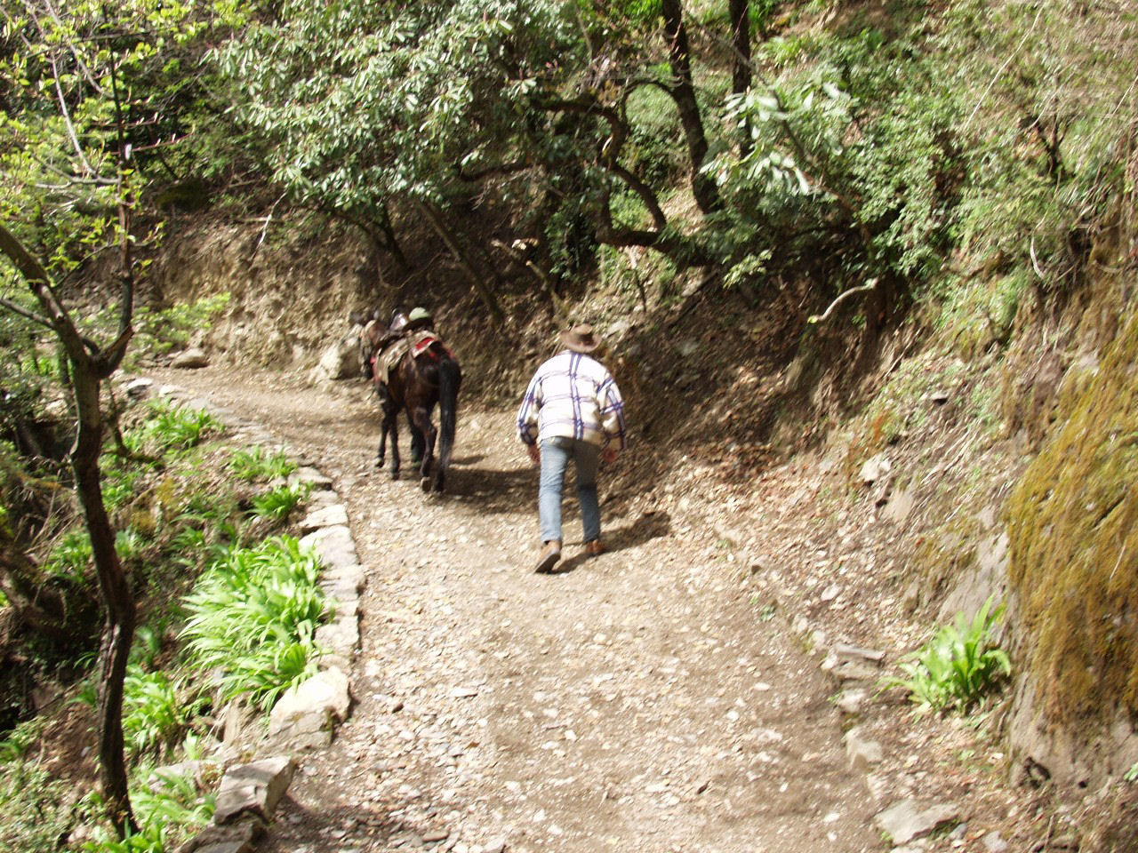 y4030204.jpg