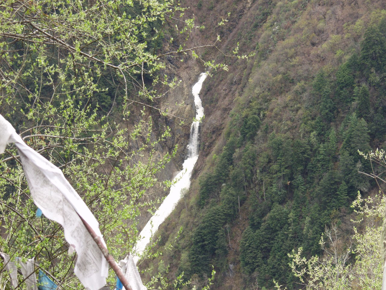 y4030235.jpg
