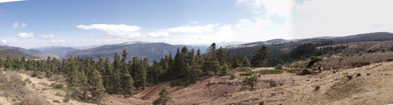 y4030242.jpg