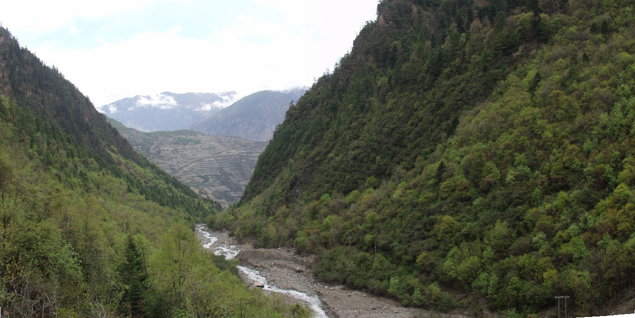 y4030243.jpg