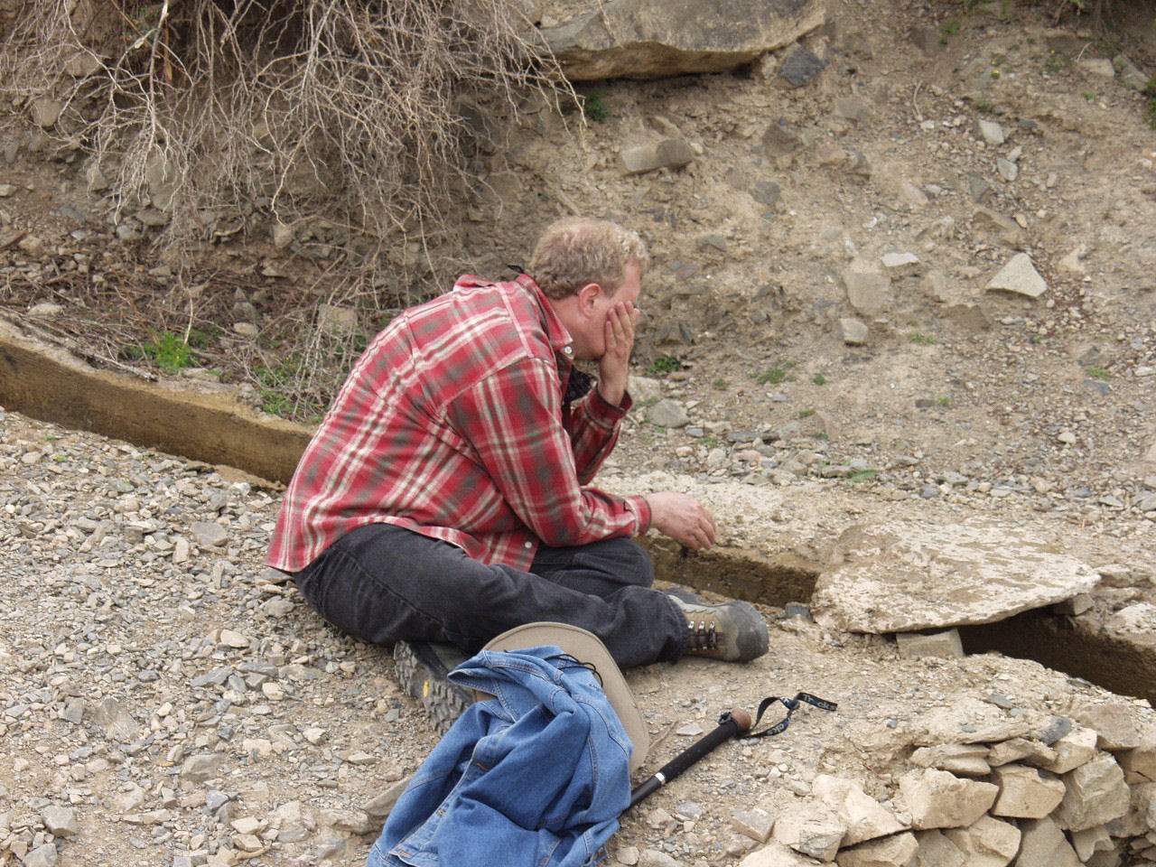 y4030260.jpg