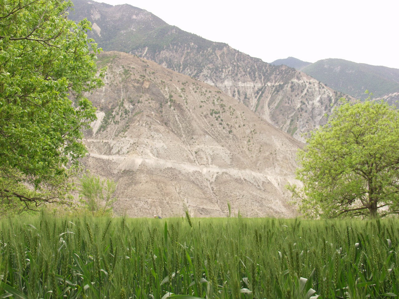 y4030285.jpg