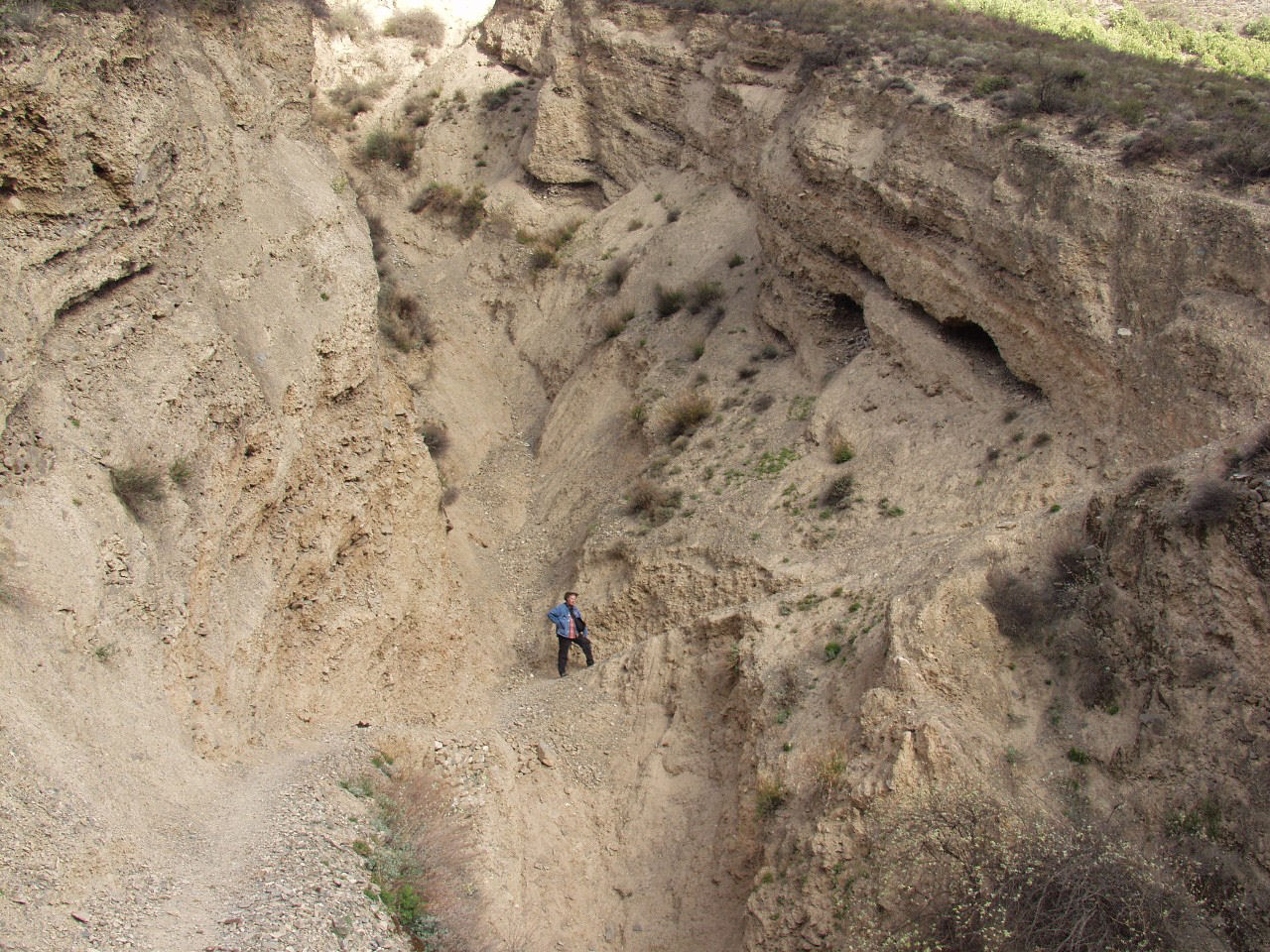 y4030301.jpg