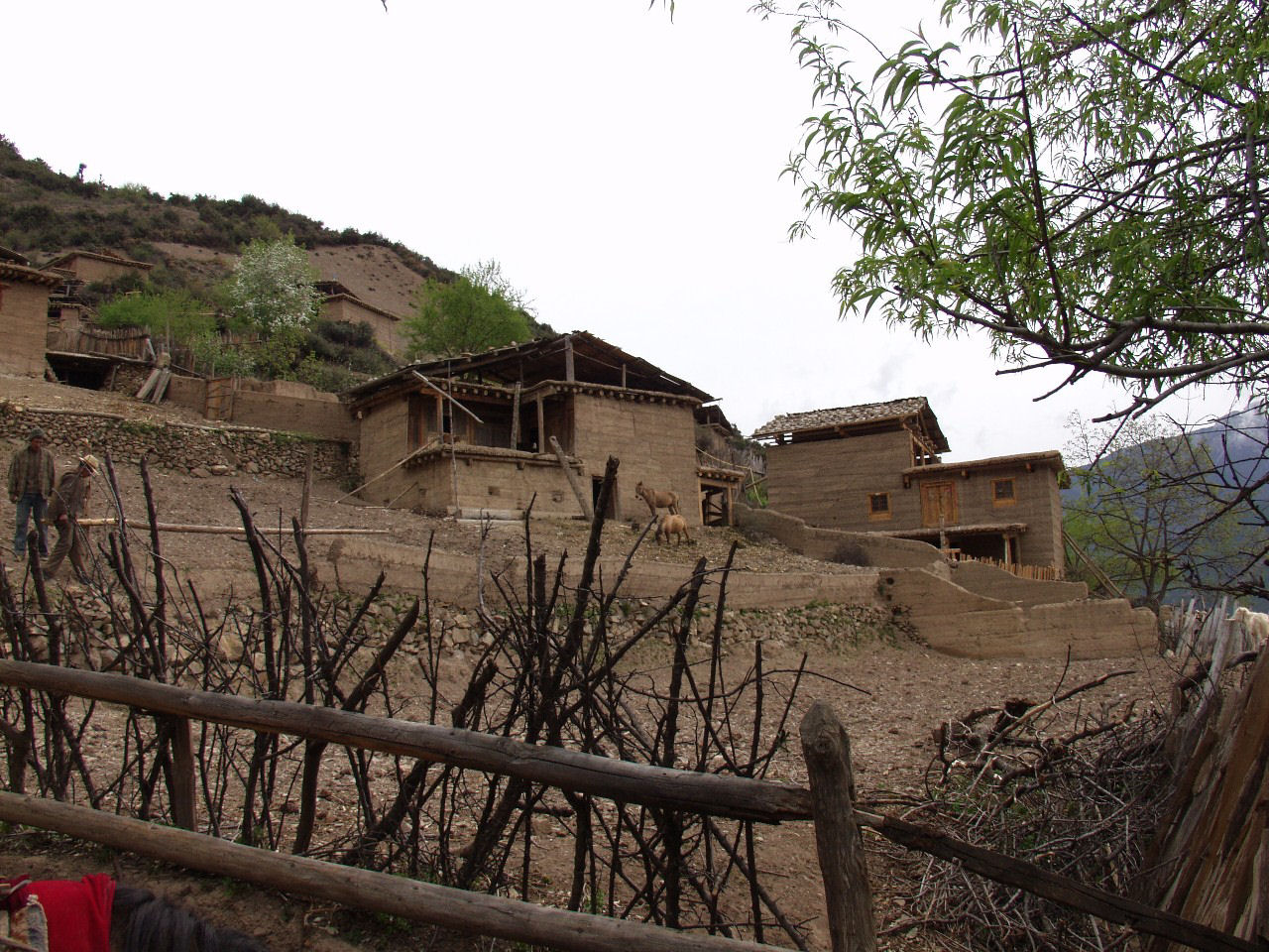 y4030305.jpg