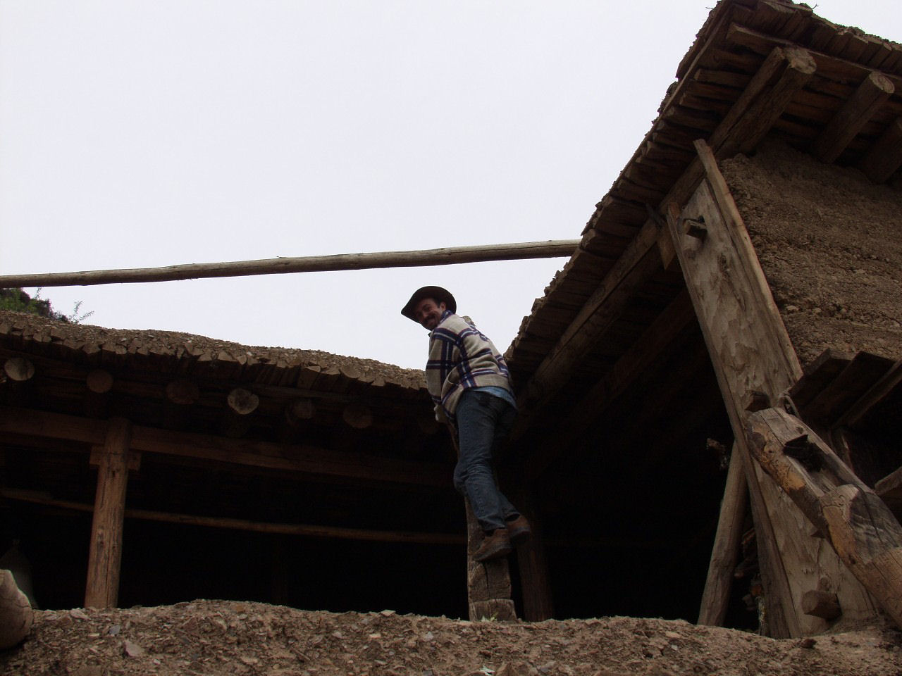 y4030313.jpg