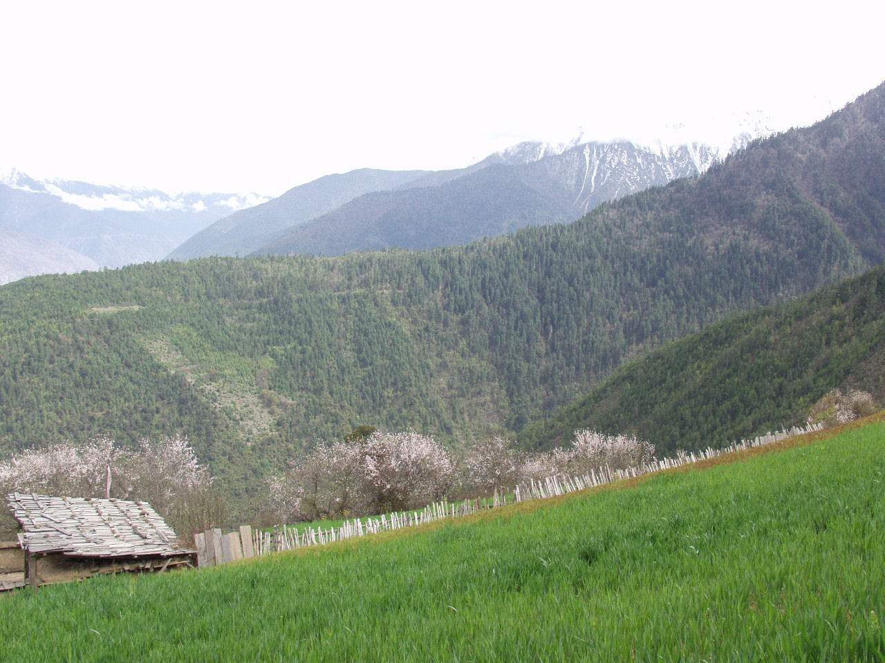 y4030321.jpg