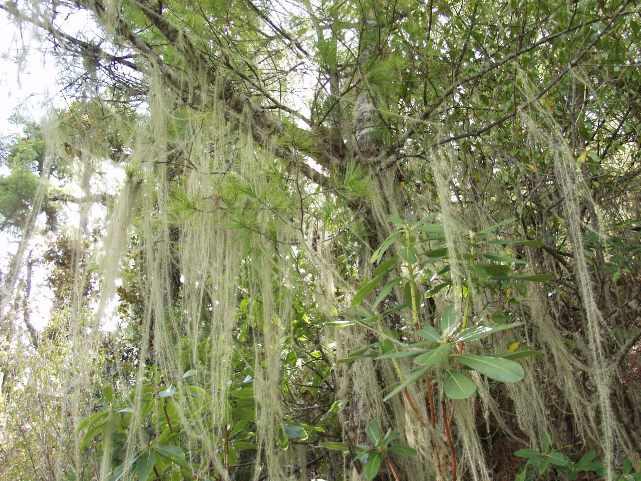 y4030326.jpg