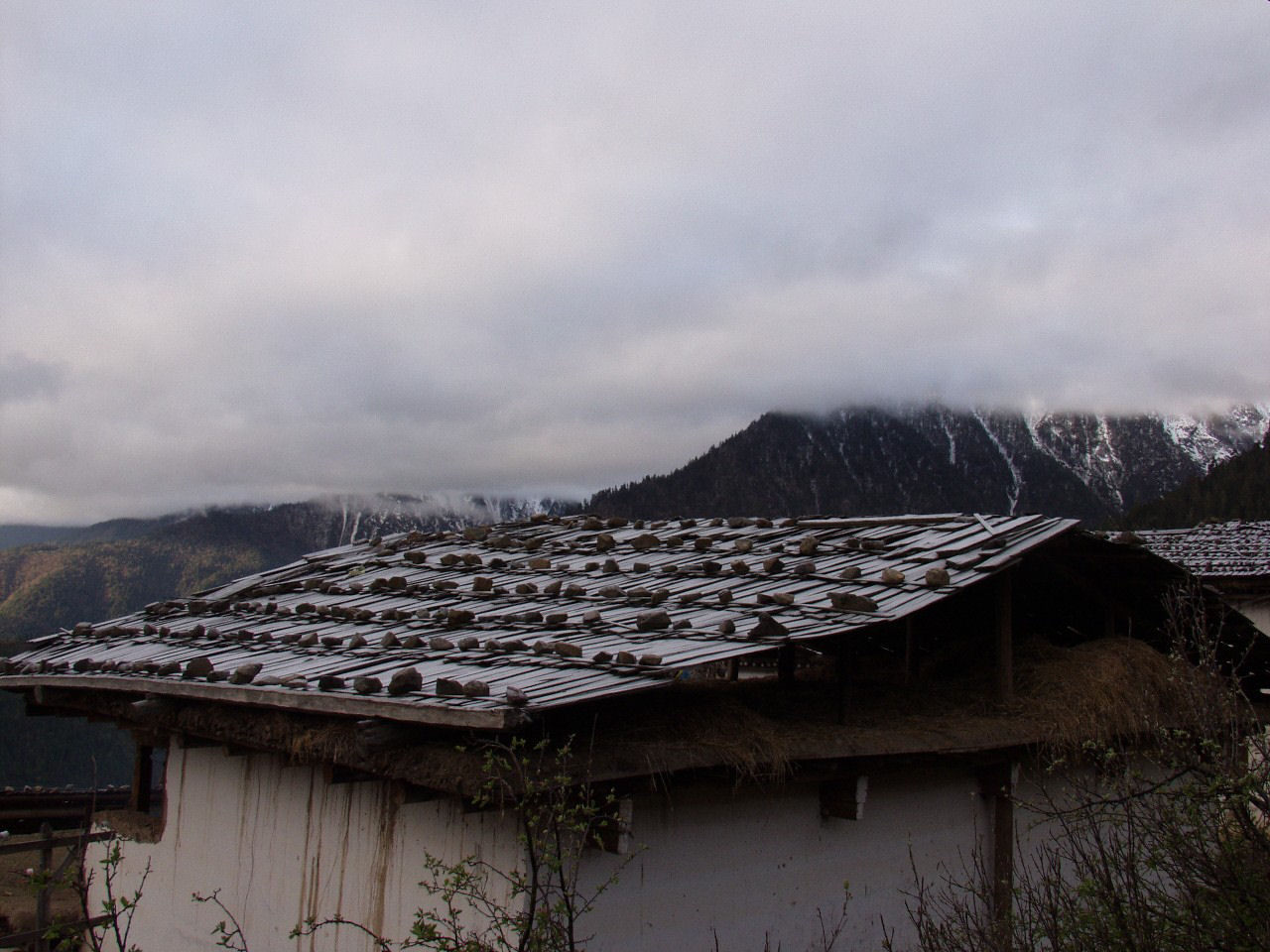 y4030328.jpg